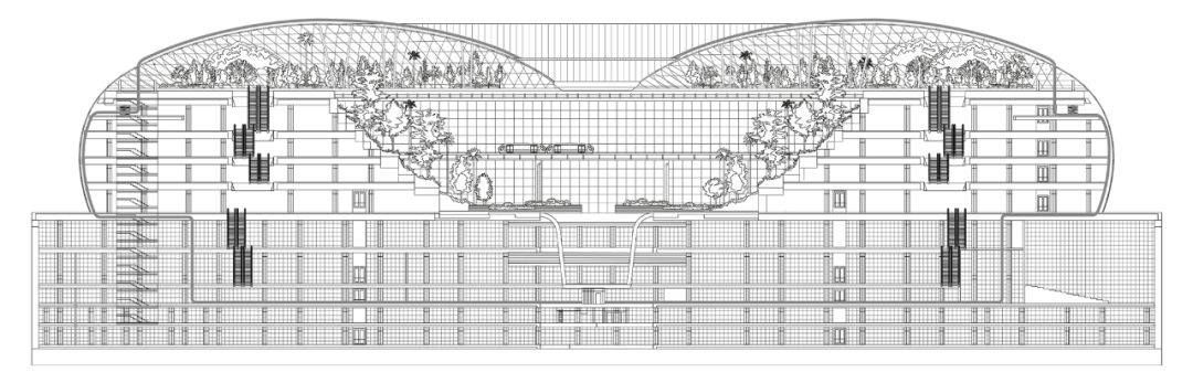 新加坡樟宜機場全方位解讀