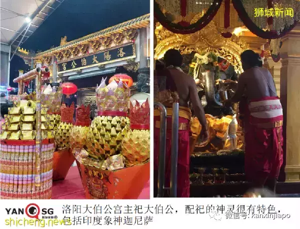 印度象神、马来拿督齐聚新加坡华人佛寺庙宇——聊聊宗教的跨界功能