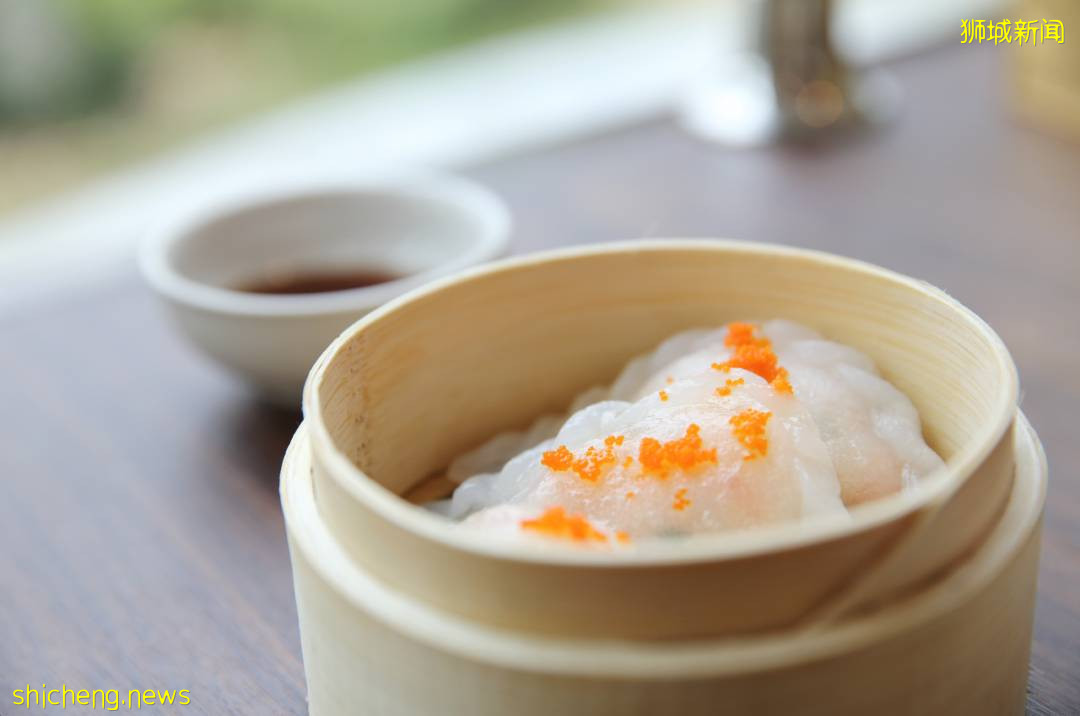 抢位!上次抢光了的新加坡圣诞节亲子活动,又开新的名额啦