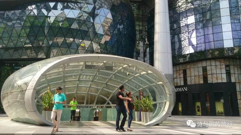 生态环境太好？乌节路鸟叫声振聋发聩，购物者不堪其扰