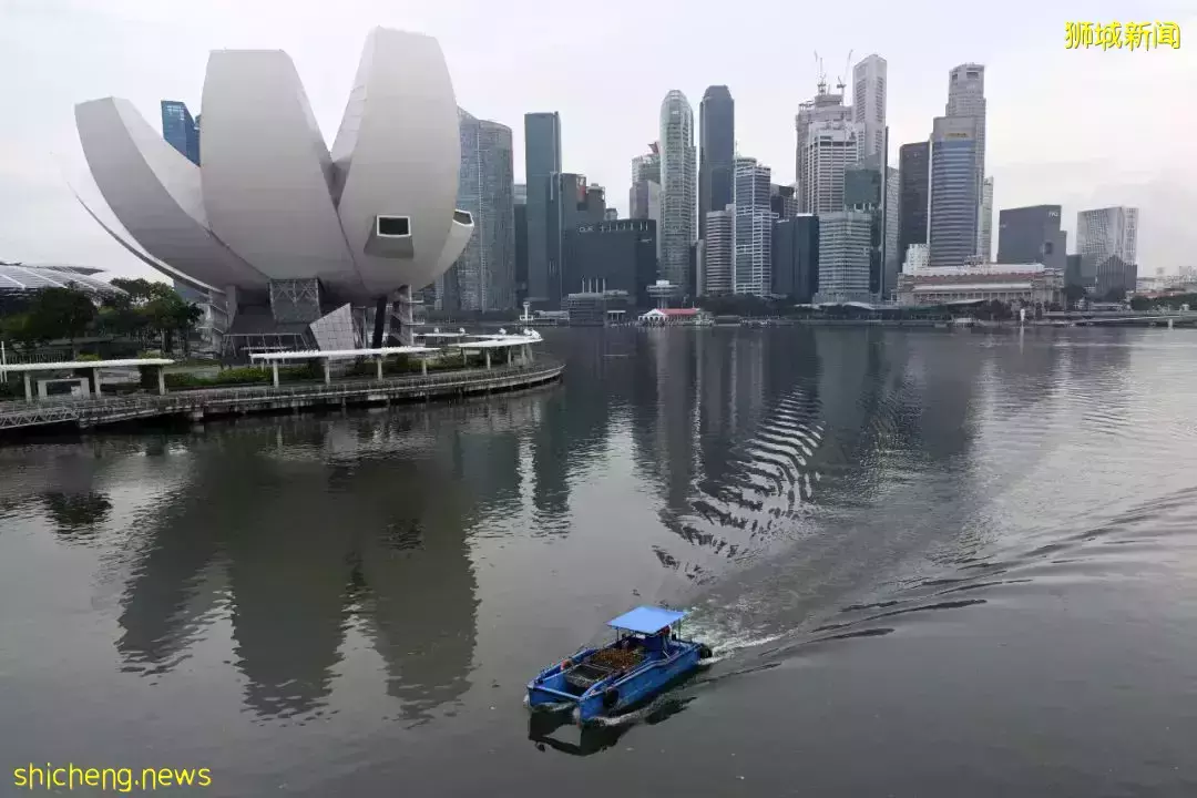 疫情下,新加坡的职场生活变得更艰难了