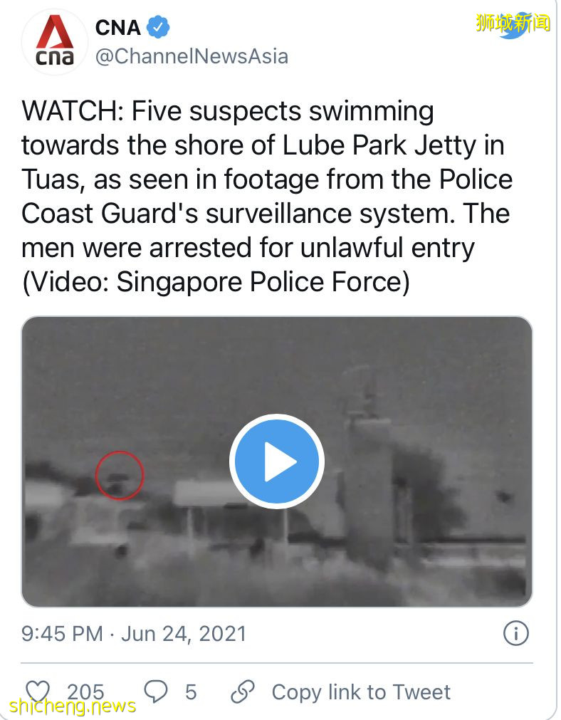 清晨游泳闯狮城!5男遭海岸警卫队逮捕