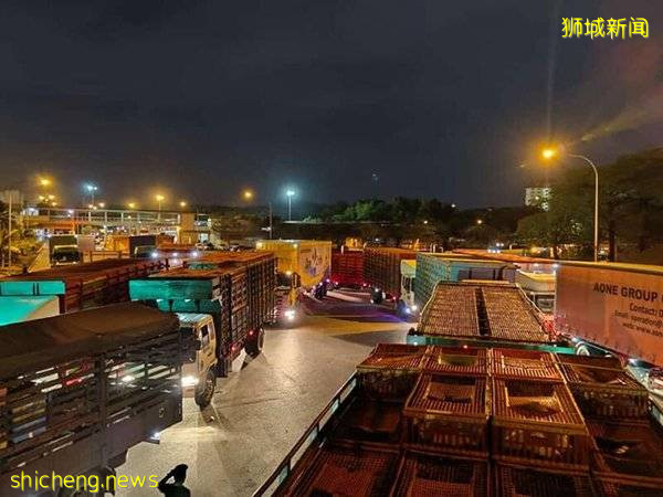 ◤新国CCB◢新国菜肉进口商： 货源运送不受影响