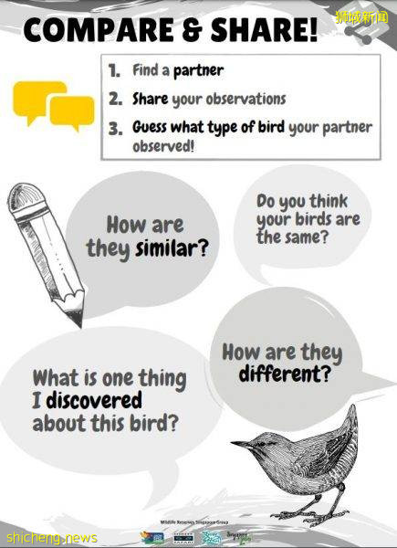 用眼睛游览新加坡野生动物园 与动物趣味互动寓教于乐