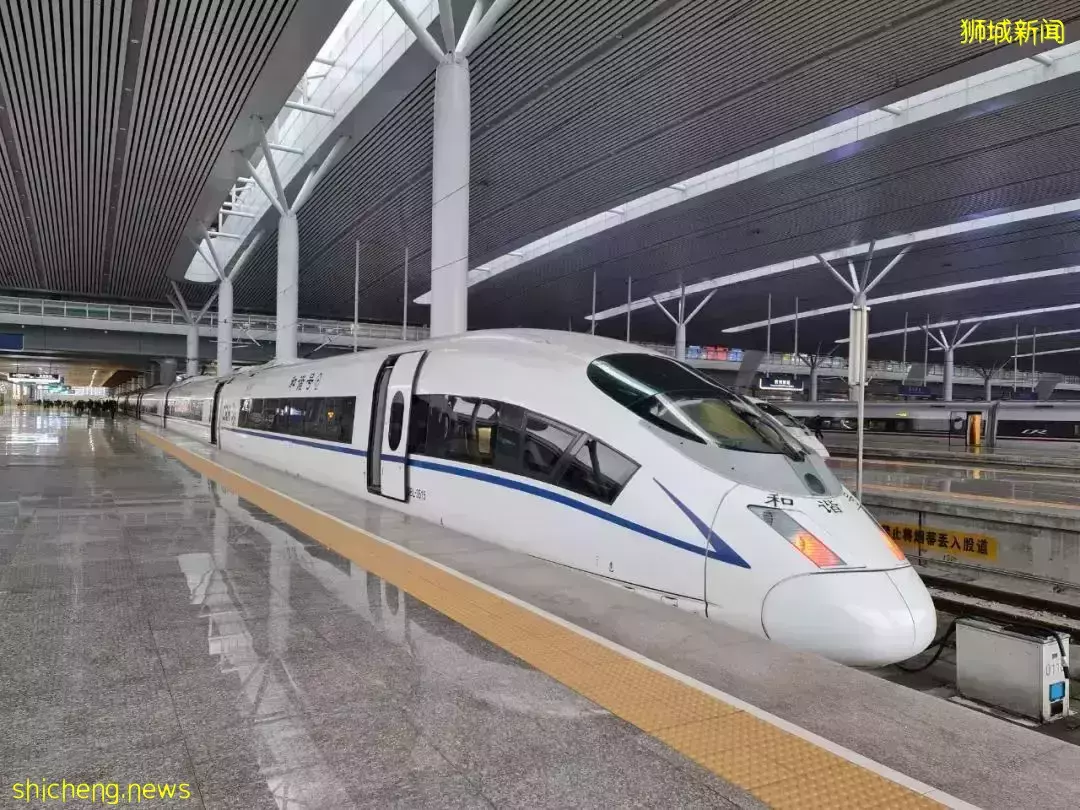 “这个春节,我终于从新加坡回到了中国”