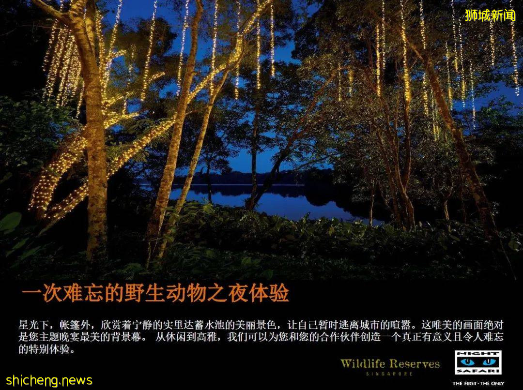 新加坡 中秋節野生動物之夜!酷炫探險~帳篷晚餐~賞月之旅
