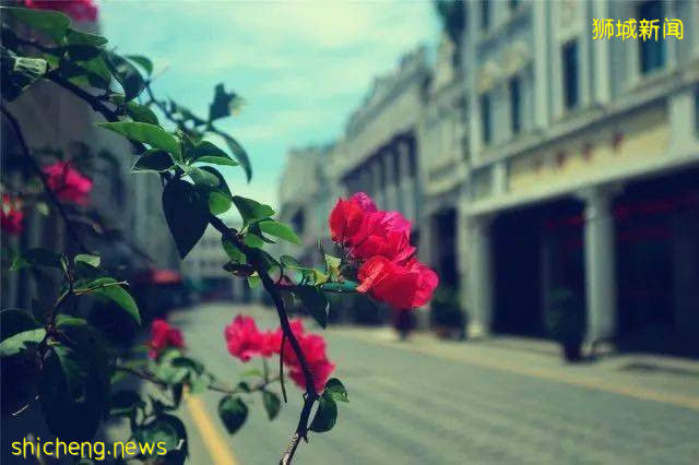 全年炎熱潮濕的新加坡,該如何有效祛濕