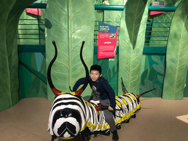 活埋、激光、雪域、遨遊宇宙……我去了新加坡最瘋狂的地方，還想再去