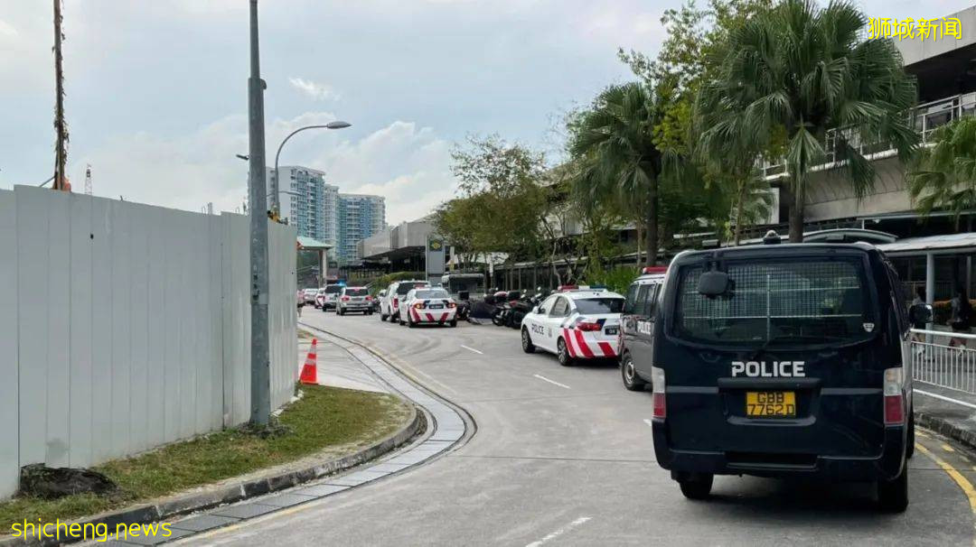 新加坡一女孩欲跳高架桥,致地铁停运30分钟,7辆警车出动