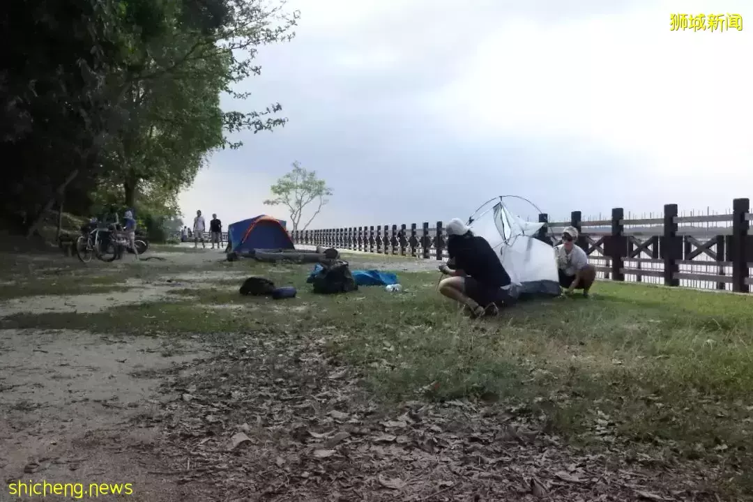 新加坡这些公园太美了!与大自然拥抱,和海浪、飞机、星空入睡