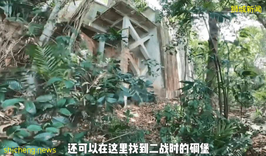 疫情不再宅家!新加坡10个超美户外蓄水池走起~人少风景好