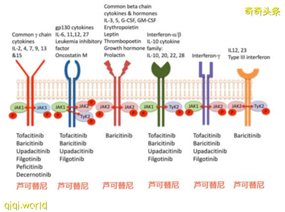 疗效超瑞德西韦,重症治疗组零死亡,中美联手新冠研究重磅发现!!
