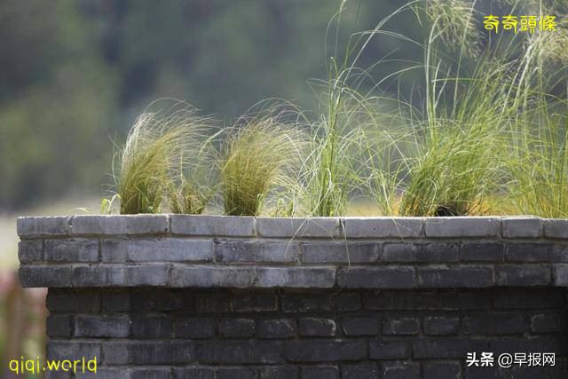 馬來西亞政治鬥爭“剪翅”越演越烈!