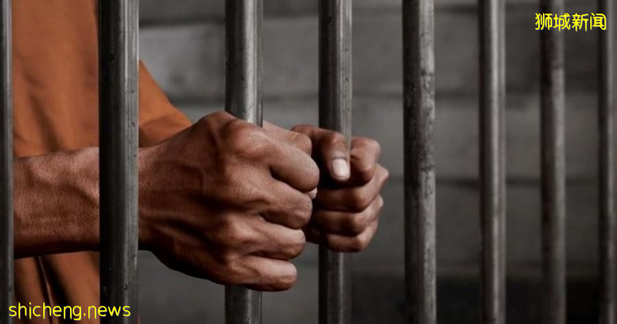 偷挖土机转卖不果潜逃大马　男子返新被判坐牢两年半