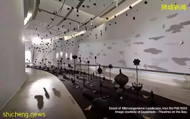 新加坡近期视觉艺术展览好推荐,适合拍照打卡