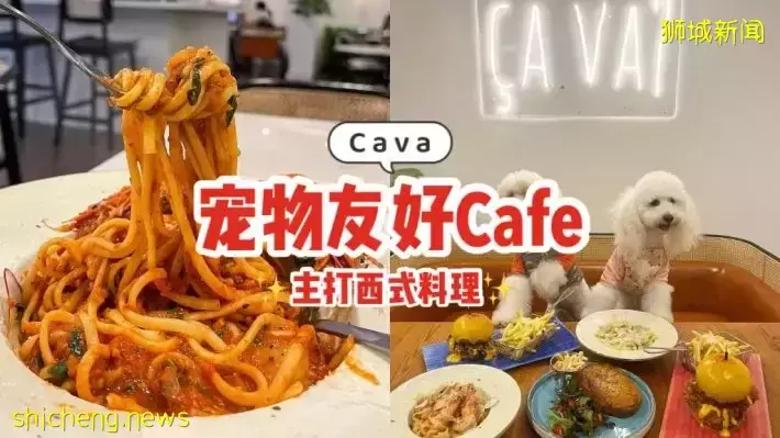 全新宠物友好的Cafe“Cava”🐕户外用餐区能让宠物入座！主打西式料理，快来探店咯