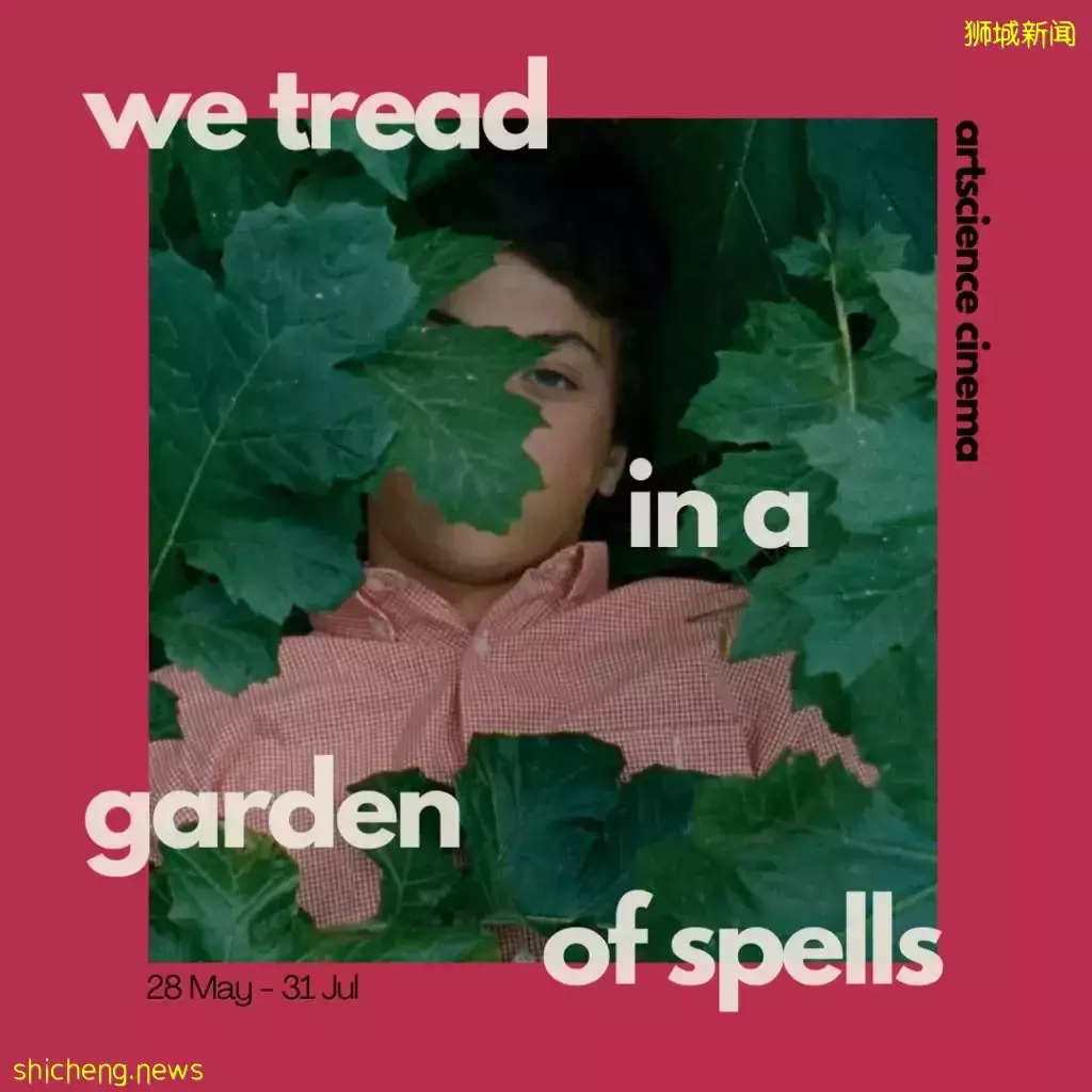 ARTSCIENCE MUSEUM新增限时电影院，最近还有免费电影可以看哦