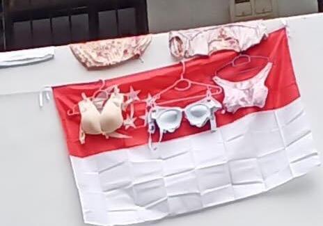 三件内衣悬挂国旗上 辣死网民眼睛