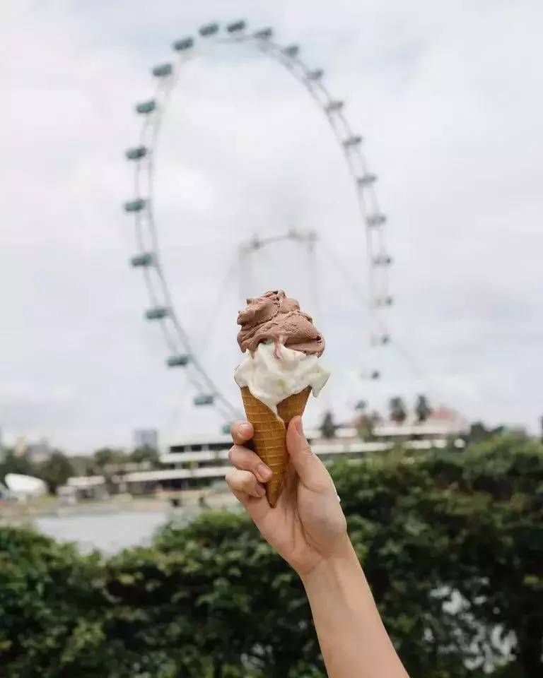 【跨年去哪】嗨玩聖淘沙!看跨年煙火!吃$5.8米其林美食!買年貨!逛阿迪概念店