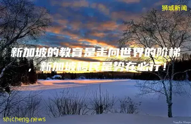 新加坡的教育是走向世界的阶梯，新加坡移民是势在必行