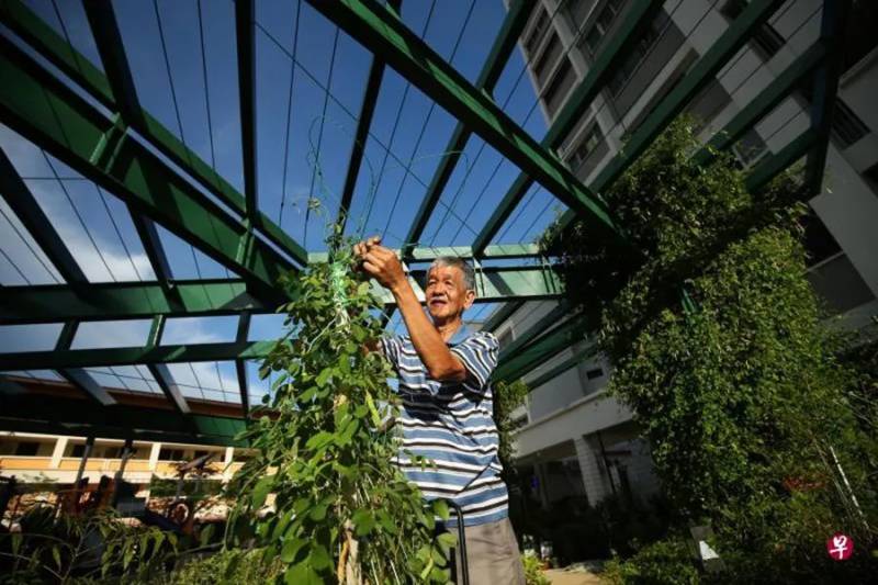 新加坡“再創我們的家園”計劃