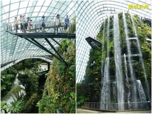 在新加坡待出“幽閉恐懼症”？這篇幹貨拯救你