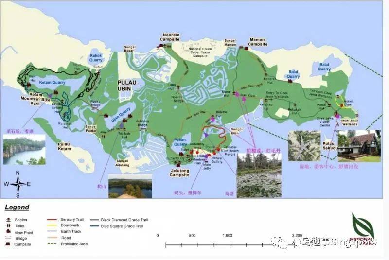新加坡5個最美離島攻略，花十幾新幣仿佛“出國遊”