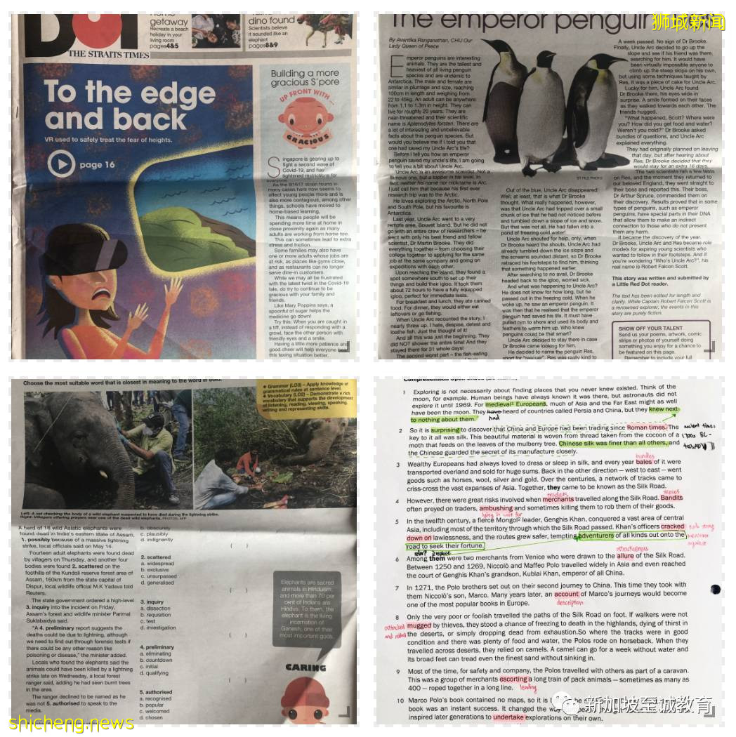 新加坡留學：看新加坡小學如何學習英文課