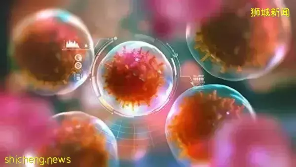 奧密克戎“姐妹合體”出現新變種XE！昨天起，新加坡邊境剛放寬