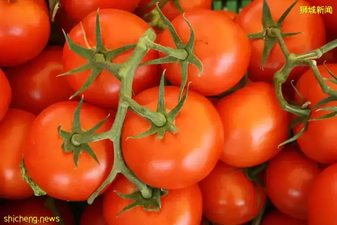 “減少泡泡茶店數量打擊糖尿病”引發全島熱議!新加坡網友:治標不治本