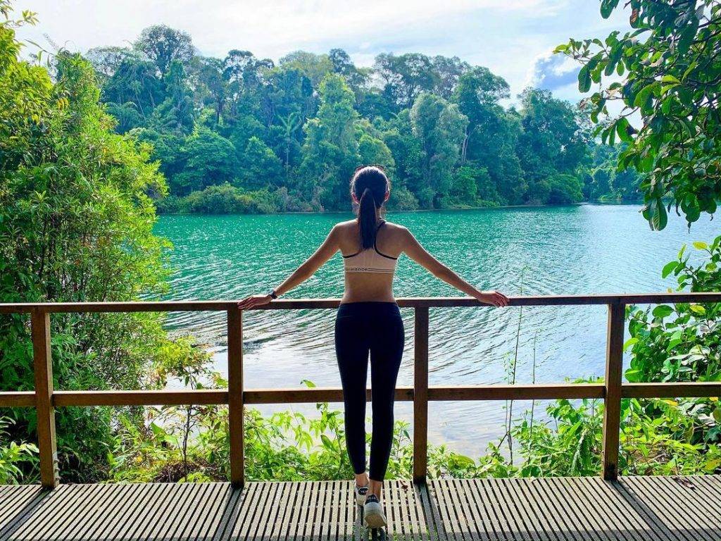 惬意悠閑“木板路”合集!新加坡11大自然景區⭐️ 林間漫步攻略+絕美海濱棧道