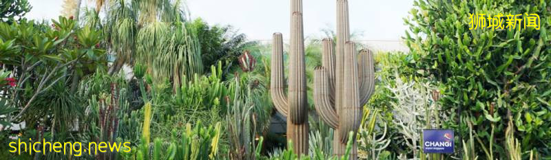 “花園裏的機場”都有哪些花園呢!