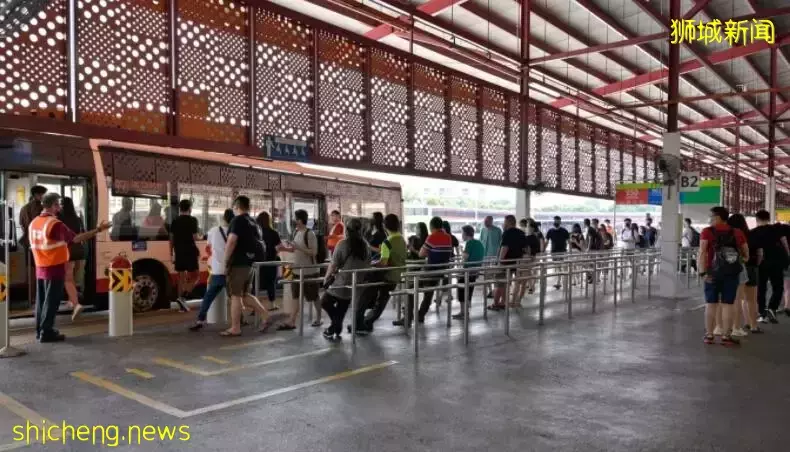 新加坡“护照蛋糕”刚走红引来大麻烦，差点把自己送监狱