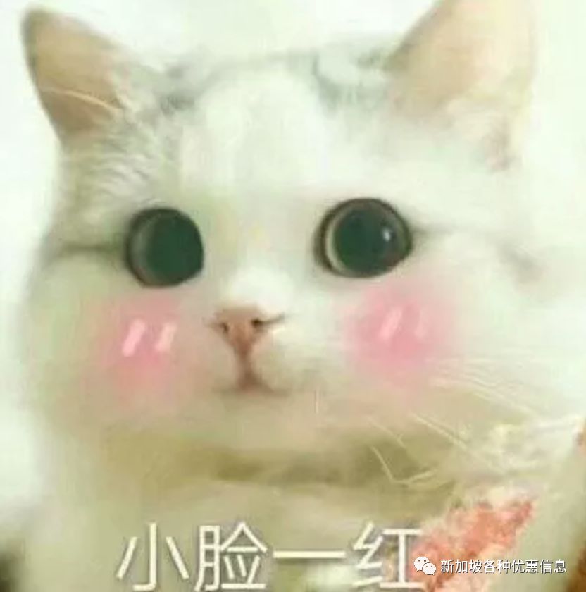 为什么在新加坡一定要购买住院保险