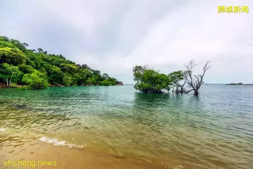 無需簽證！新加坡周邊12個絕美小島，每個都超有特色