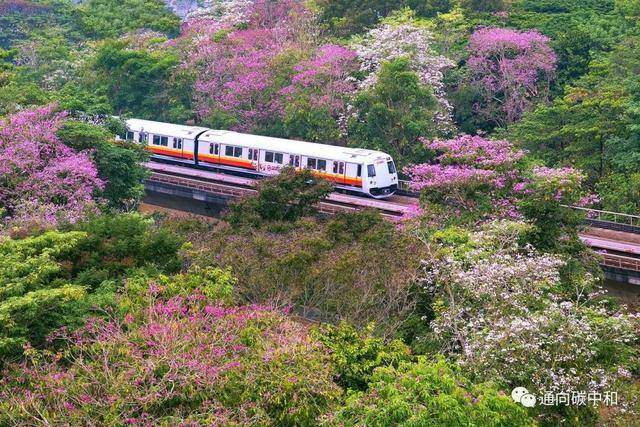 城市碳中和,新加坡是怎麽做的