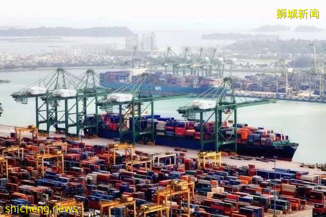 這些人綠卡批准時間大幅縮短！新加坡移民政策放松了