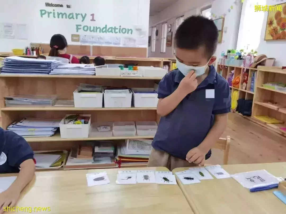 在疫情最疯狂的时候,带4岁娃留学新加坡!这个85后妈妈后悔了吗