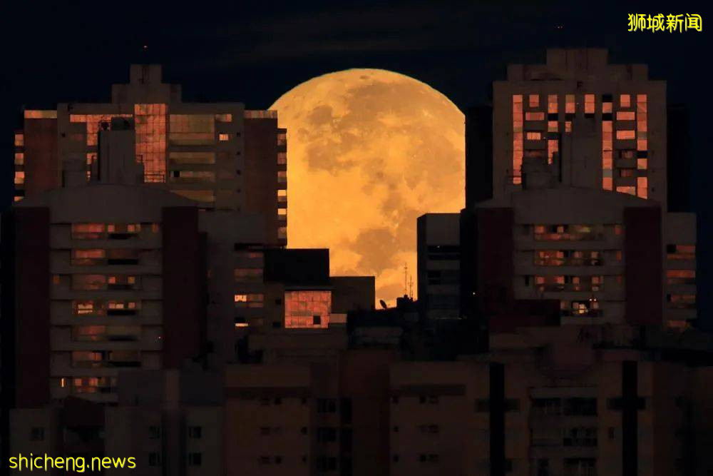 多圖預警！昨晚你們沒看到的“超級血月”都在這裏