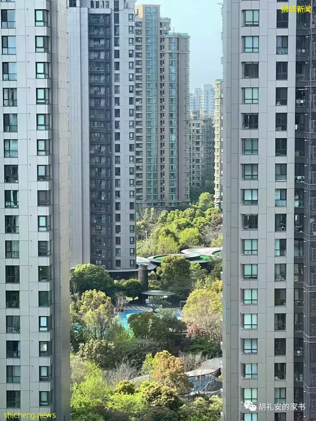 “从新加坡回到上海,封锁一再延长,我被卷入了这场前所未有的大事件”