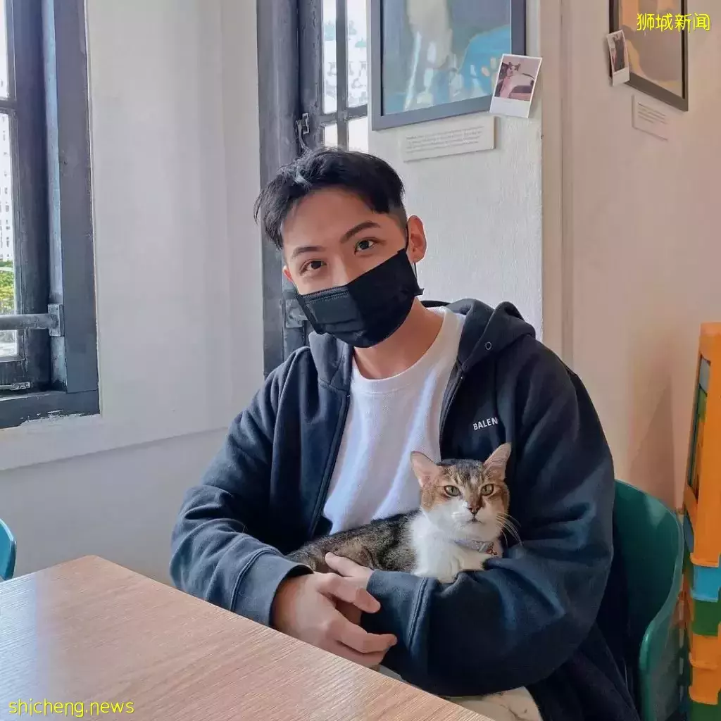 吃喝撸狗兩不誤!新加坡15家寵物友好咖啡廳 · 快上小可愛一起去體驗吧