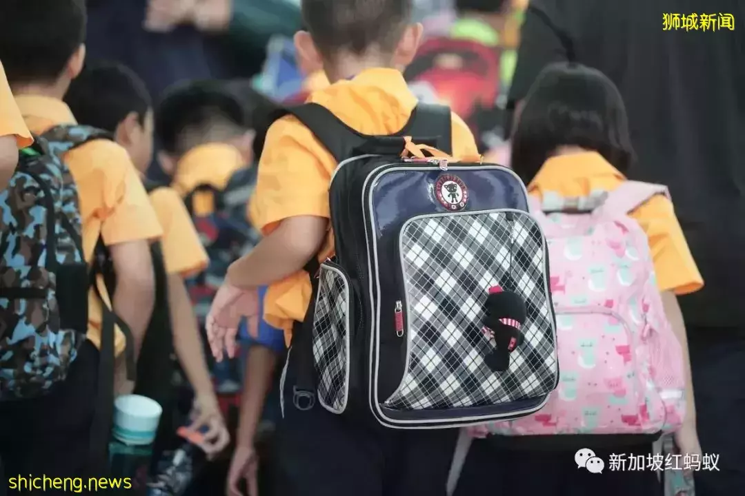 马国小学生书包重达6公斤被令“减重”　狮城小学生书包轻多了