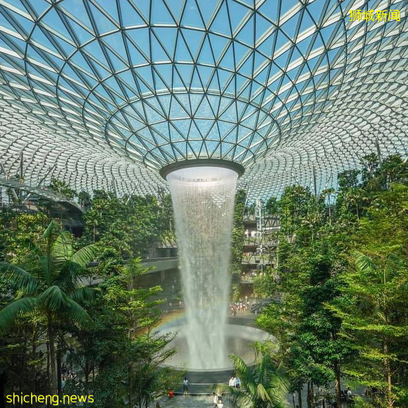 限时免费进入Canopy Park!凭当日消费收据、兑换门票🎫每日限前500个名额、直到7月31日