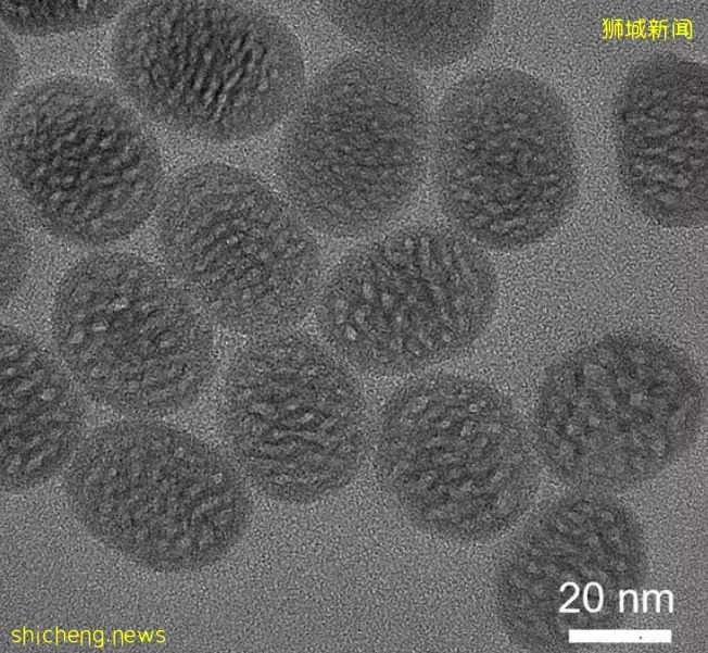 NUS教授獲得德國洪堡研究獎：發光納米材料可用于疾病治療