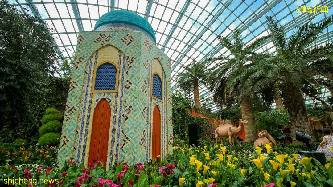 新加坡滨海湾花园郁金香花展绚丽登场!带你穿越到哈萨克!去游牧,去流浪