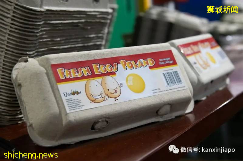 疫情下,新加坡首次與波蘭合作進口新鮮雞蛋!