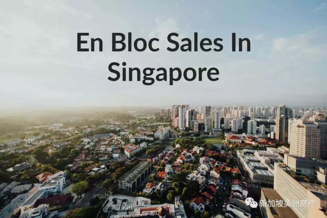 今年新加坡政府售地活動積極樂觀，同時刺激本地集體出售活動