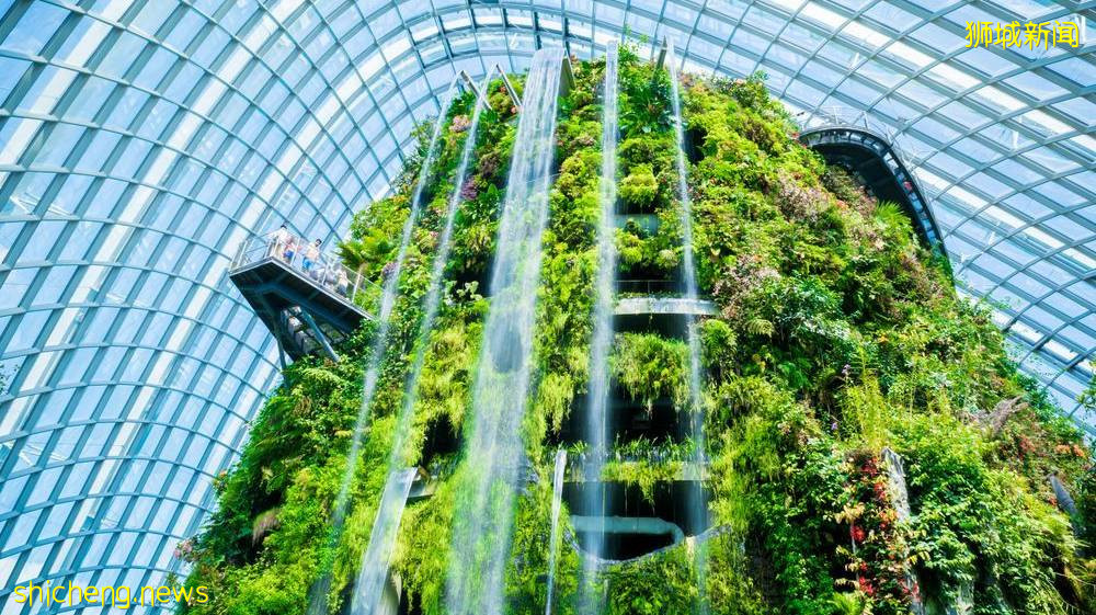 新加坡旅遊局 x ABC Cooking Studio 對這座花園城市狠狠“新”動了