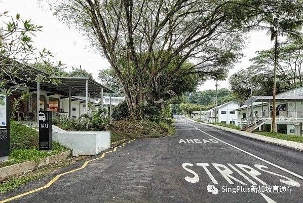 居然有人願意一天都泡在新加坡吉爾曼軍營?有點兒意思