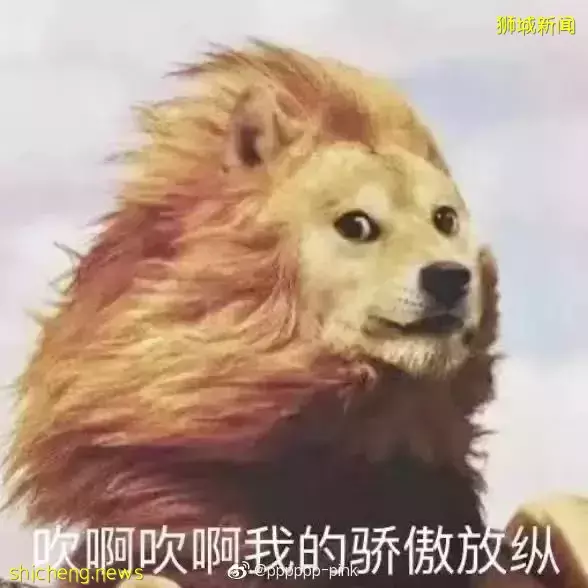 新加坡爲什麽沒有狂犬病?連本地人都不知道的一段黑曆史